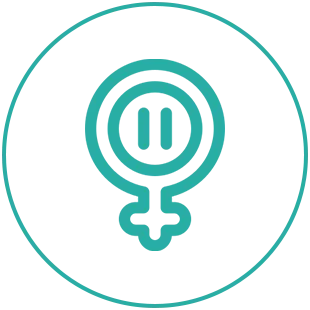 Menopausa