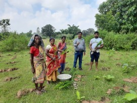 TREES FOR TIGERS India