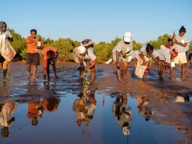 EDEN PROJECTS Madagascar