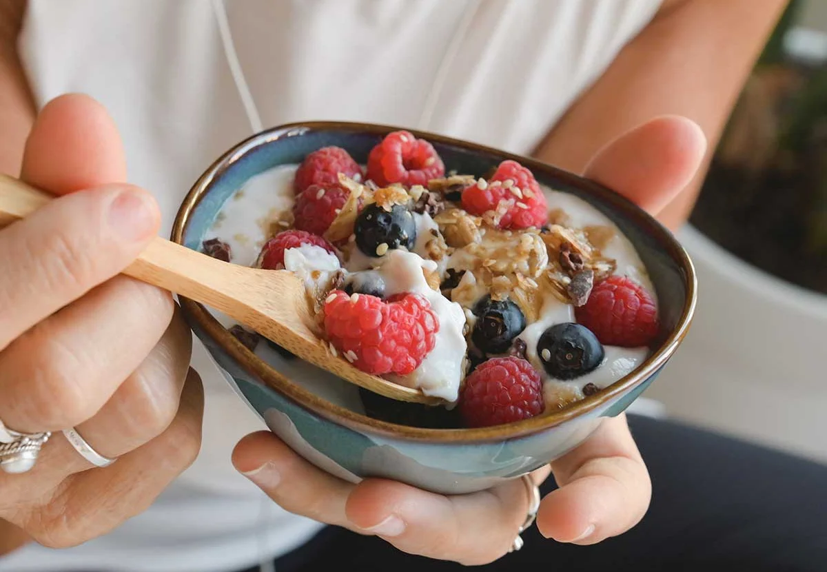 Sugar Free Experience