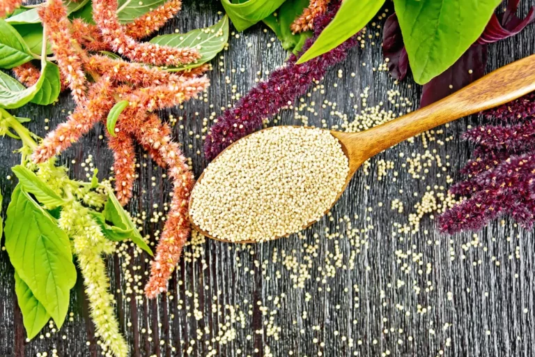 Quinoa con ghee e gomasio