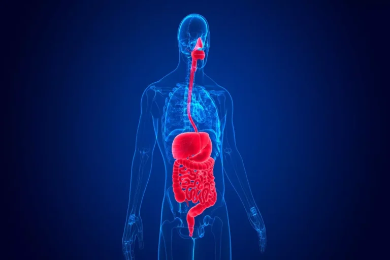 L'orologio degli organi: stomaco, milza e pancreas