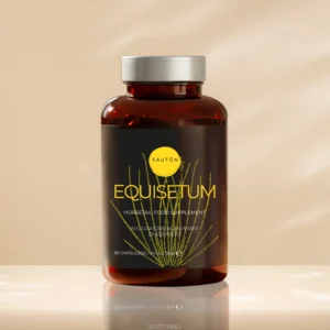 Equisetum