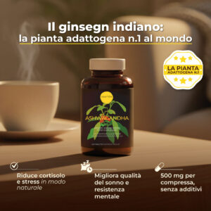 Ashwagandha Compresse