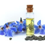 Olio di borragine (Borago officinalis L.) 