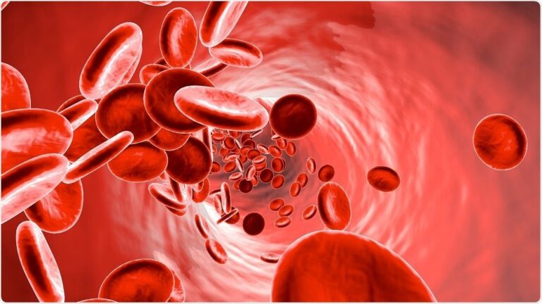Anemia cos'è e come risolverla con rimedi naturali