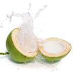 Acqua di cocco (Cocus Nucifera) 