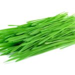 Erba di grano