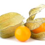Bacche inca (Physalis Peruviana)