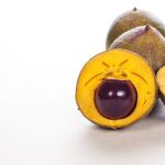 Lucuma in polvere [Pouteria lucuma Kuntze]
