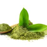 Tè matcha (Camellia sinensis)