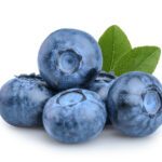 Mirtillo blu (Vaccinium uliginosum)