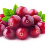 Mirtilli rossi (Vaccinium vitis-idaea)