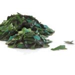 Spirulina (Spirulina Platensis)