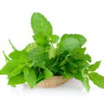 Foglie di Tulsi (Ocinum Sanctum)
