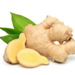 Zenzero (Zingiber officinale)