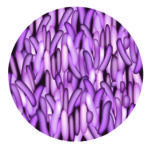 Lactobacillus rhamnosus LRH020
