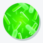 Lactobacillus Acidophilus DDS-1