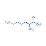 L- Lisina