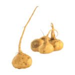 Maca (Lepidum meyenii)