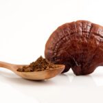 Ganoderma lucidum