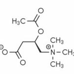 Acetil-l-carnitina
