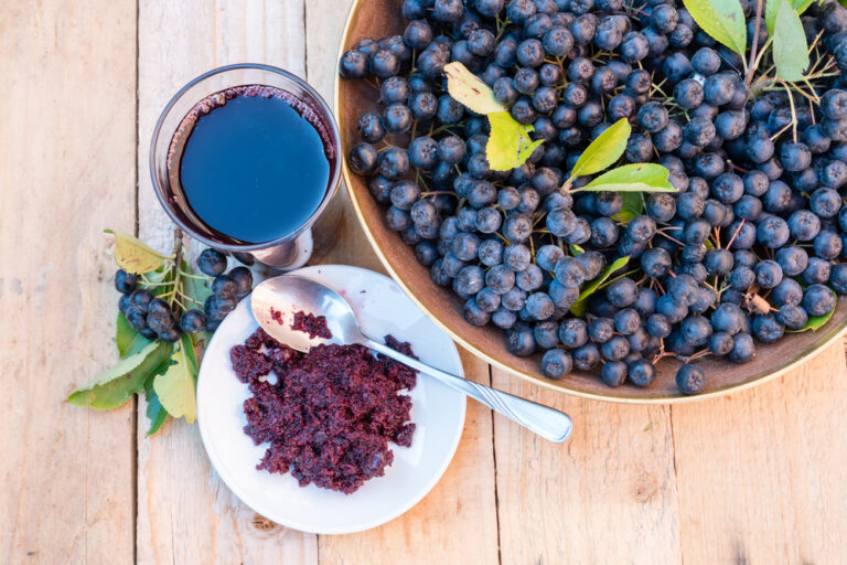 Bacche di Aronia-cosa sono, benefici e come si usano