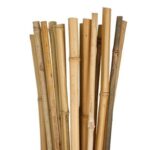 FIBRA DI BAMBÙ