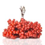 Mirtillo rosso