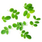 Moringa
