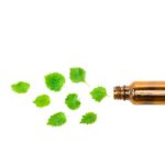 Olio essenziale di menta (Mentha x piperita L.)