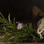 Rosmarino