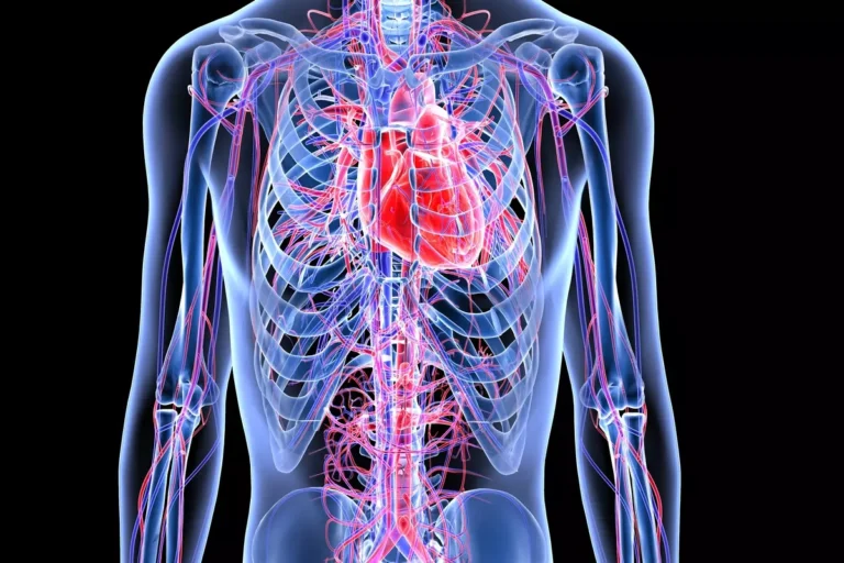 Infiammazione: la guida definitiva