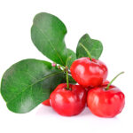 Estratto di acerola