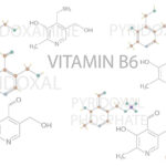 Vitamina B6 (Pirossidina)