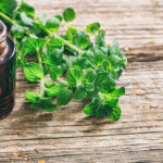 Olio essenziale di origano