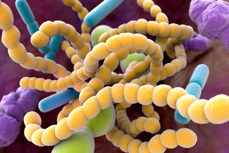 Batteri intestinali e stress: un legame sorprendente