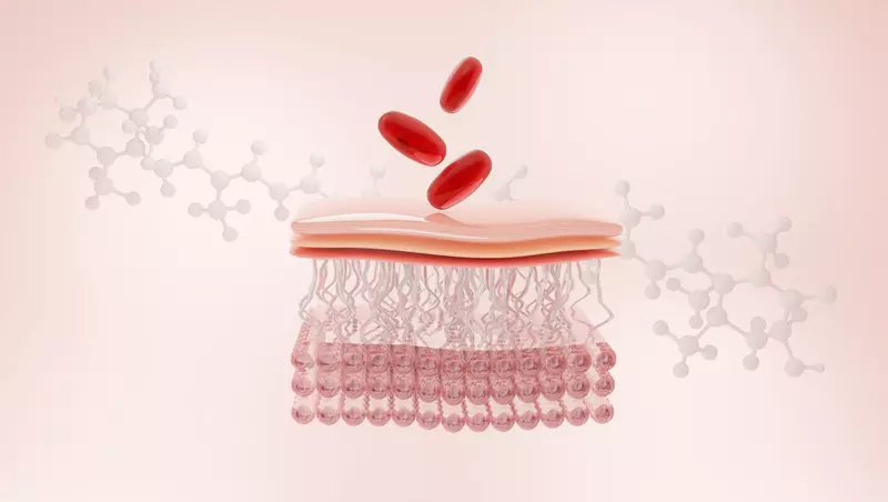 Come l'astaxantina rallenta l'invecchiamento cerebrale