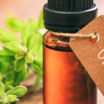 Olio essenziale di origano