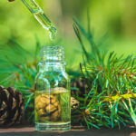 Olio essenziale microincapsulato di pino