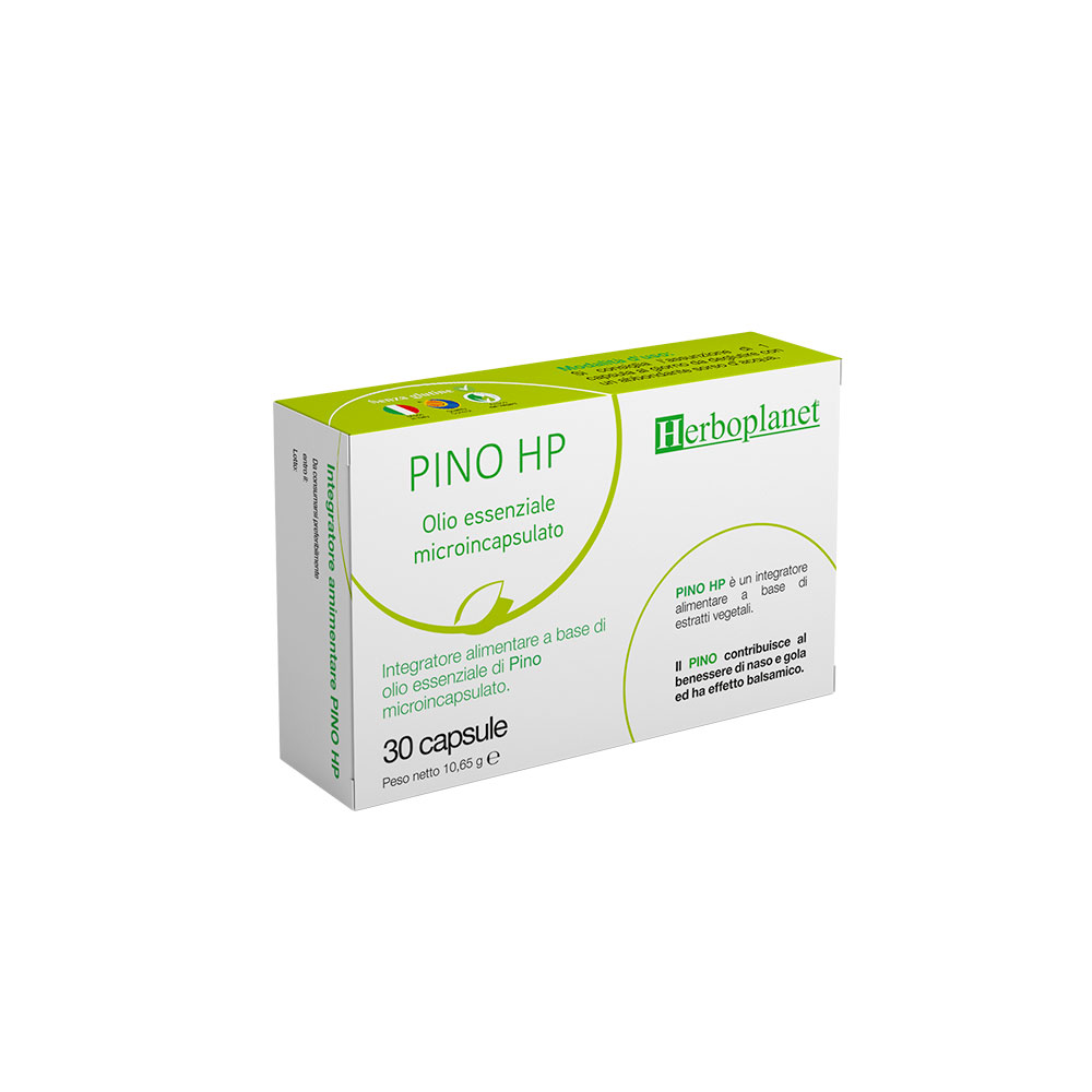 Sauton Shop - Pino HP