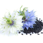 Nigella Sativa